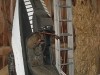 1972-bandit-barn-find